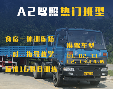 A2热门班型